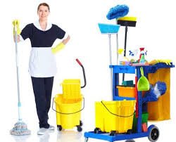 Professional cleaning service and disinfectants